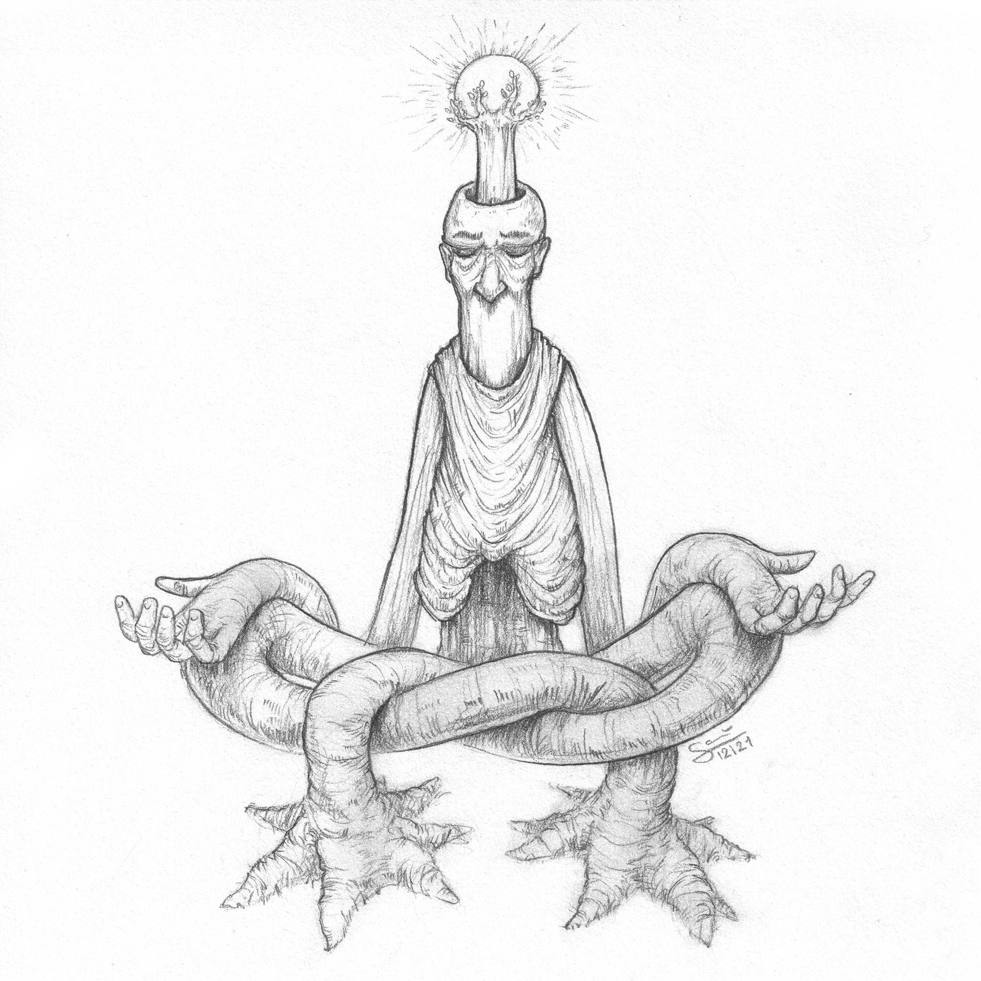 Sami image