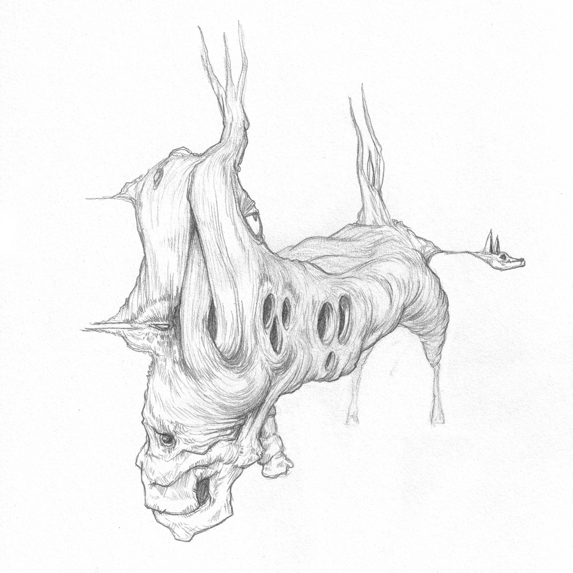 Sami image