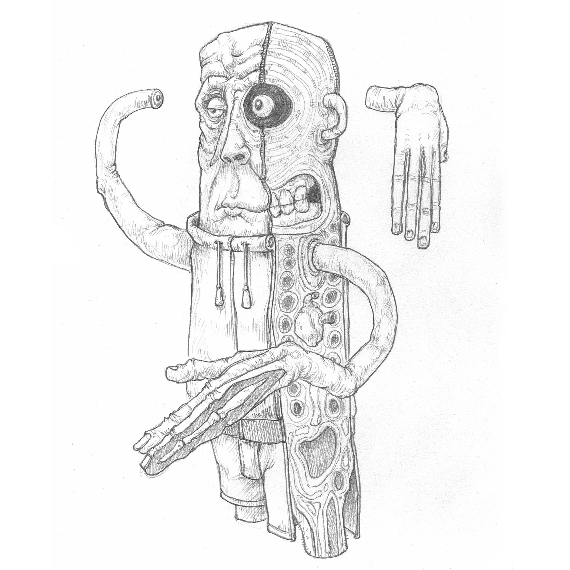 Sami image