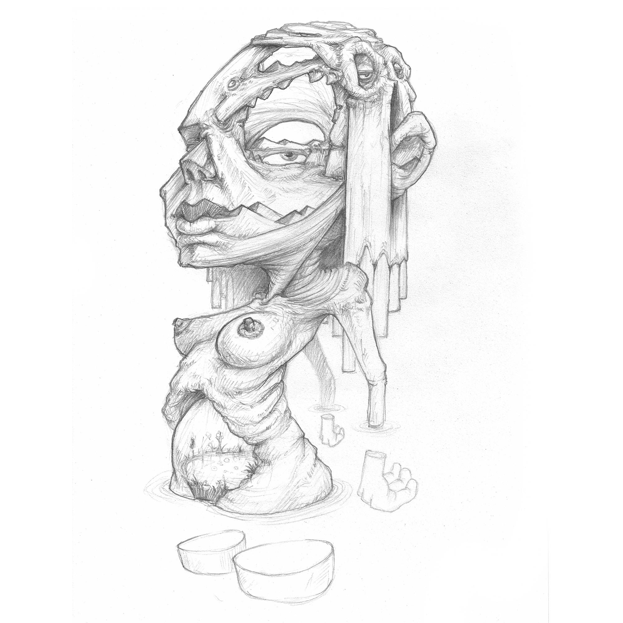 Sami image